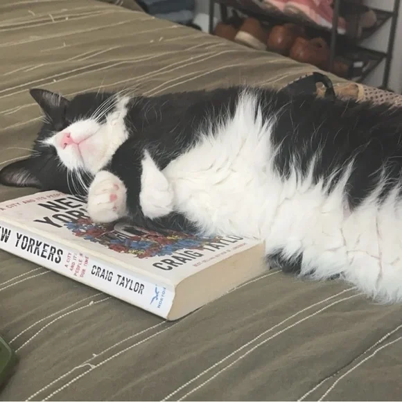 Live Show! Thursday 4/2 11:11 AM EST - Picture 3 of 4